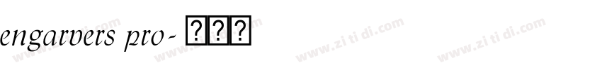 engarvers pro字体转换